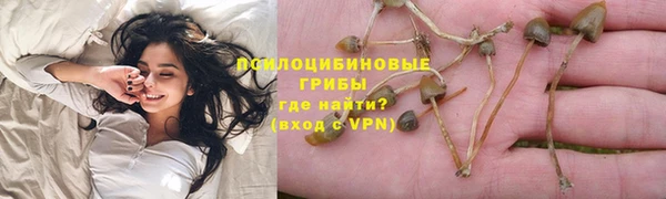 спиды Армянск
