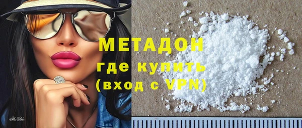 прущие грибы Аркадак
