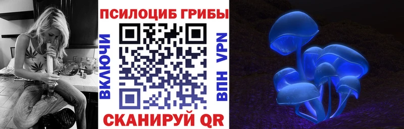 блэк спрут как войти  что такое   Мураши  Галлюциногенные грибы прущие грибы 